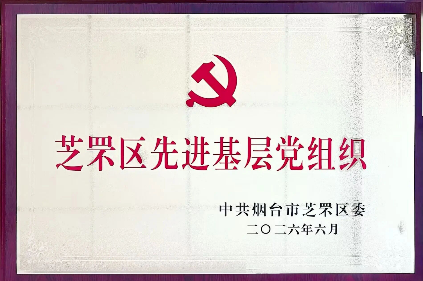 热烈祝贺山东杏罘医养集团党支部荣获“芝罘区先进基层党组织”！